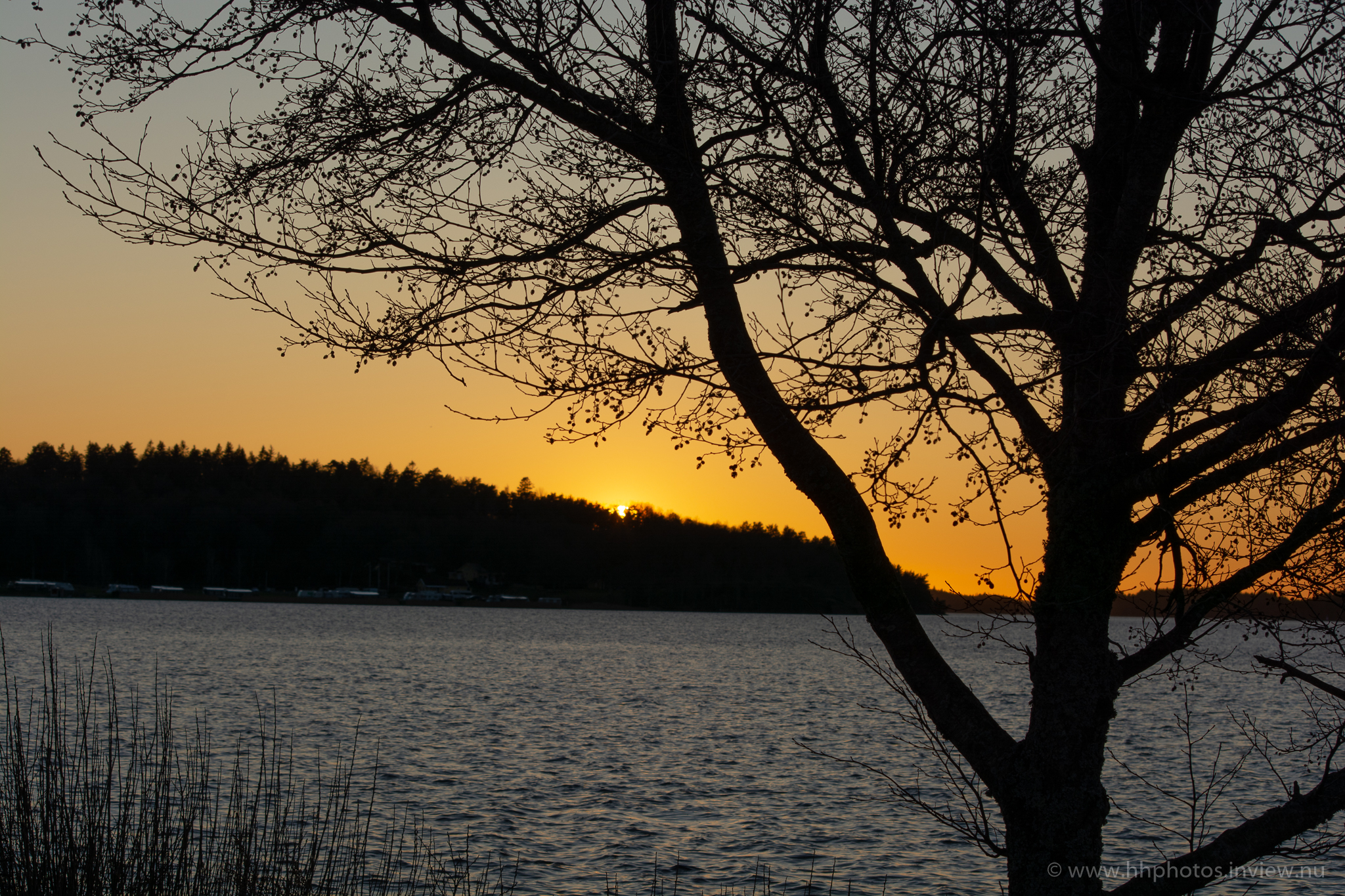 Solnedgång över Mjörn / Sunset by Lake Mjörn