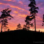 Fire sunset in Risveden